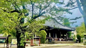 江戸の女性SAMPO道
