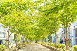 散歩の先に出会いと健康と発見を