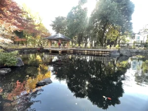 高円寺さんぽ 水面に映っているのは、、、、
