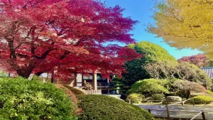 高円寺さんぽ