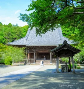 妙本寺