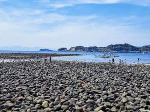 材木座海岸①